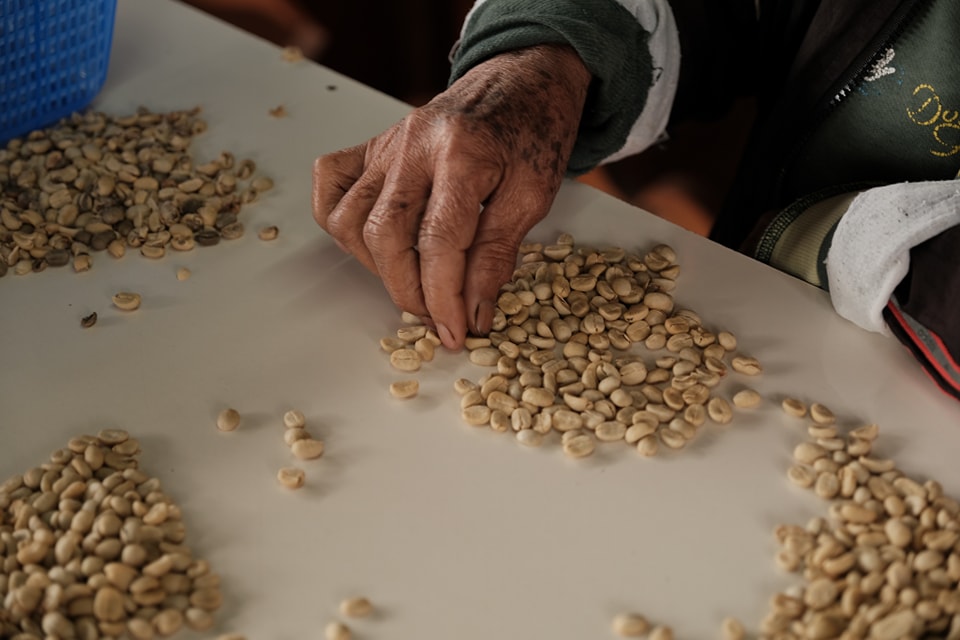 Black Honey - Image 10