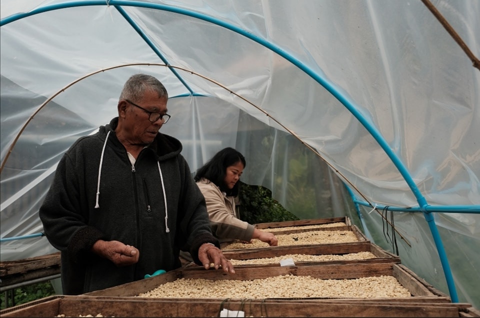 Mr. Phachon Thingkoksung and Ms. Chayanisa Thingkoksung, Owners