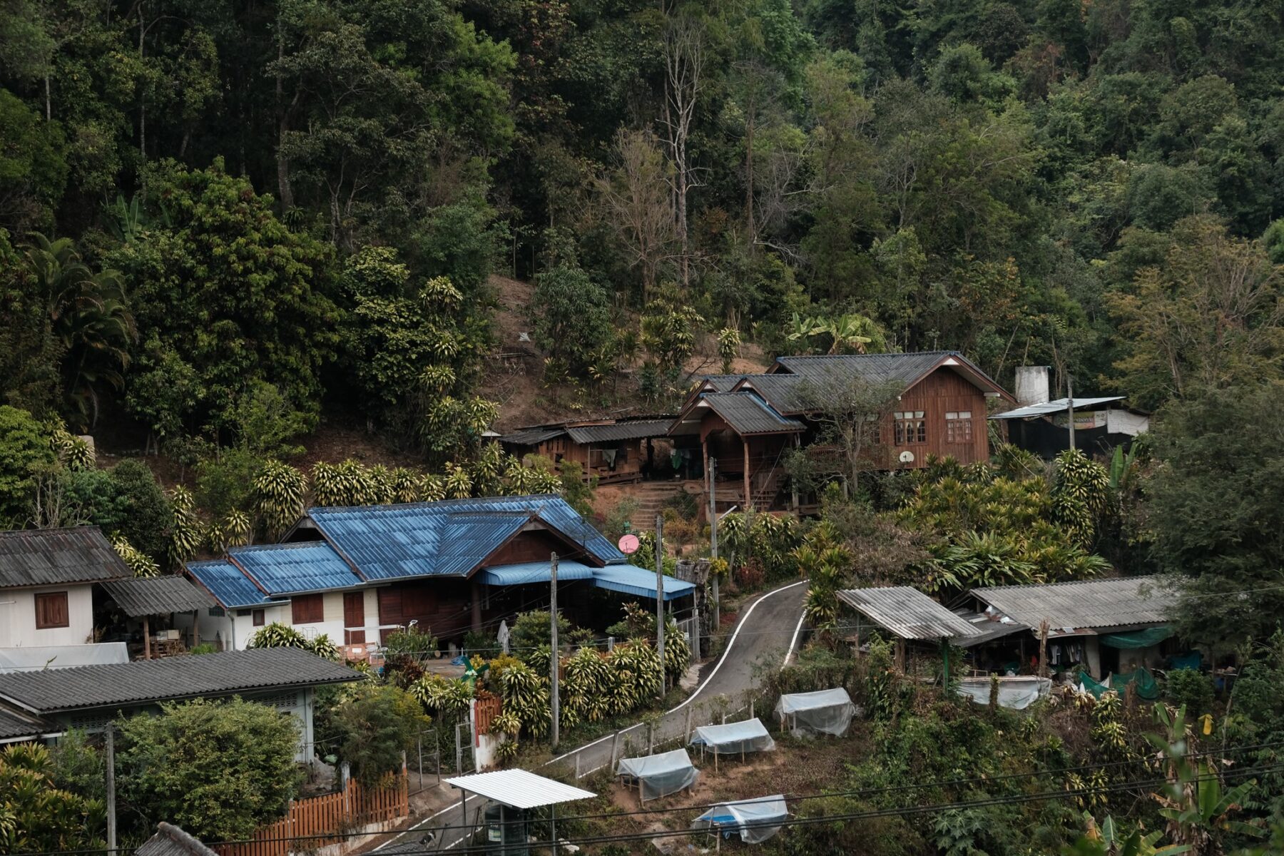 Black Honey - Image 3