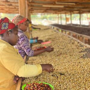 Rubyiniro Hill - Mbilima
