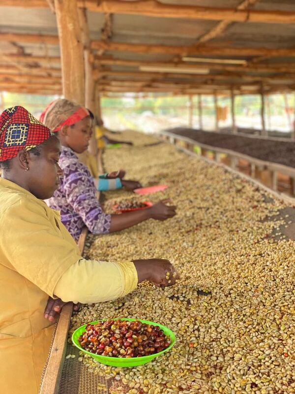 Rubyiniro Hill - Mbilima