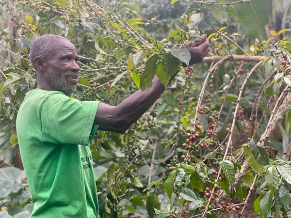 Rubyiniro Hill - Mbilima - Image 4
