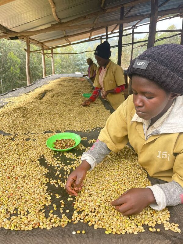 Rubyiniro Hill - Mbilima - Image 2