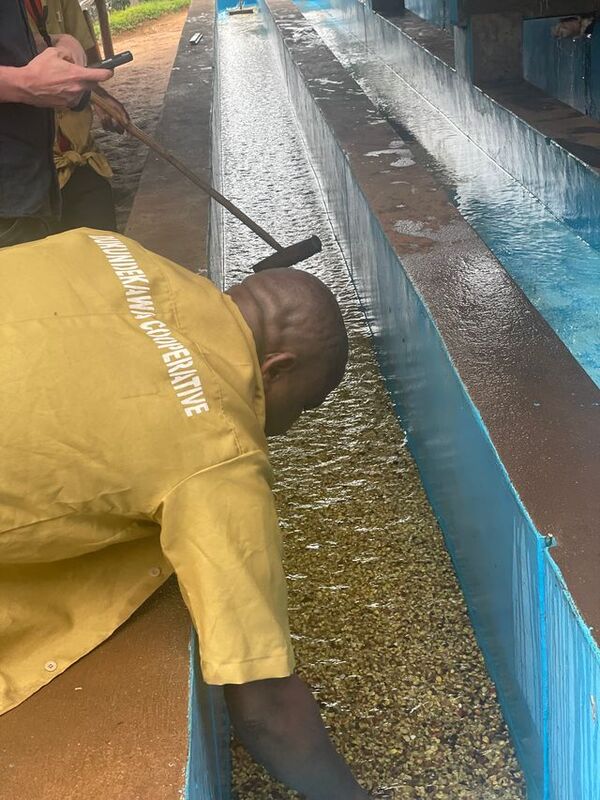 Rubyiniro Hill - Mbilima - Image 3