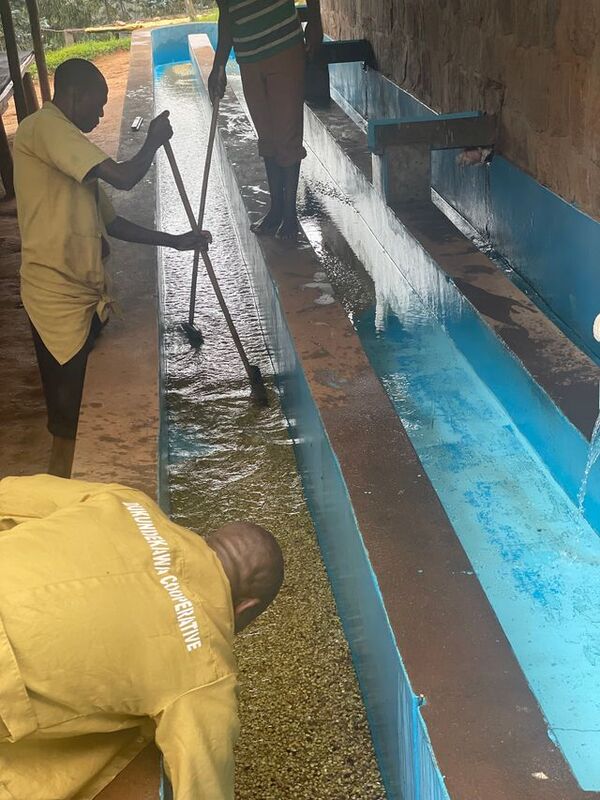 Rubyiniro Hill - Mbilima - Image 5