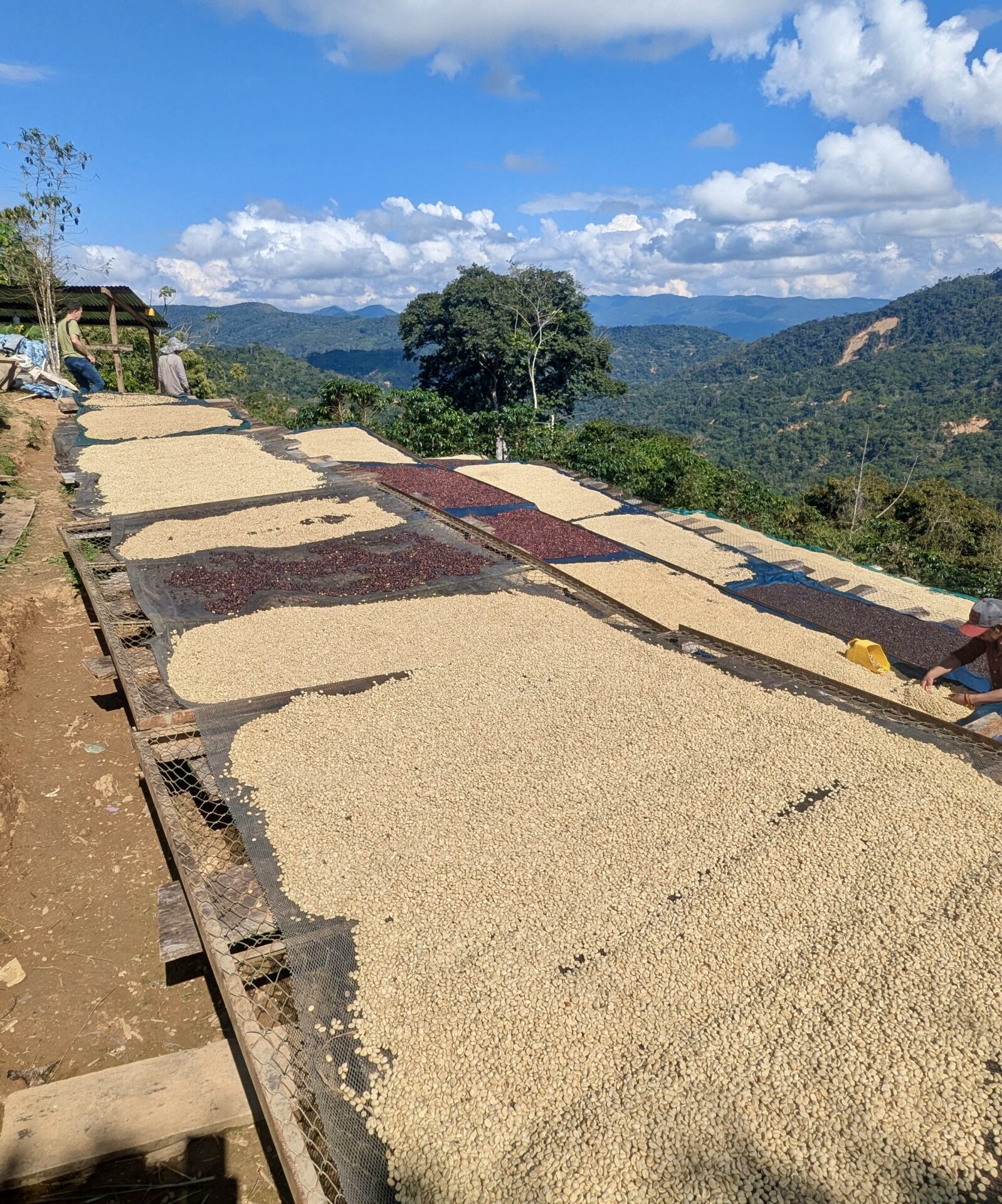 Uchumachi, Bolivia - Image 4